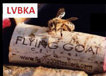 LVBKA - Flying Goat